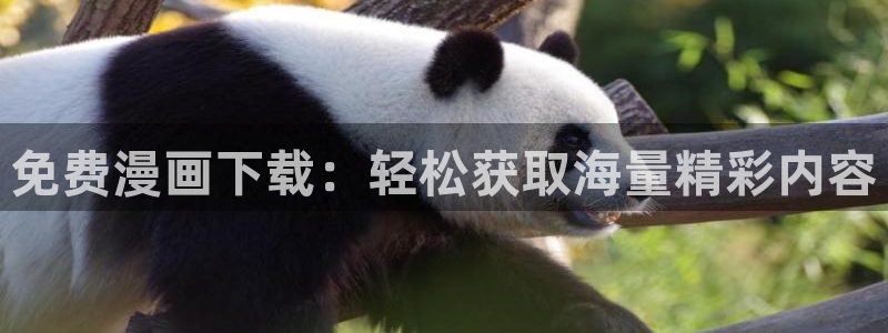 嘿咻漫画免费阅读小说